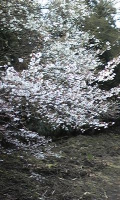 100418_125705.jpg
