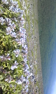 100717_115118.jpg