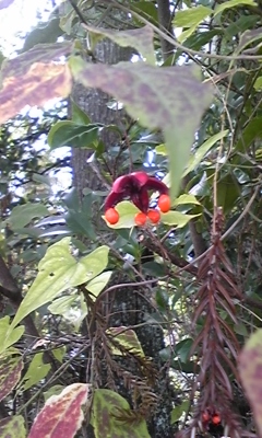 111023_115650.jpg