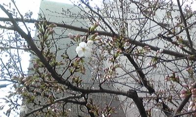 130317_095339_ed.jpg