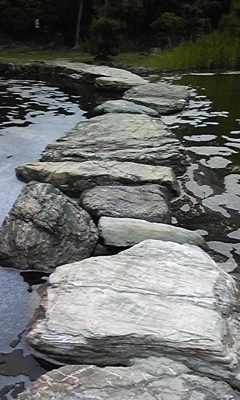 130606_115241.jpg 130606_115241.jpg