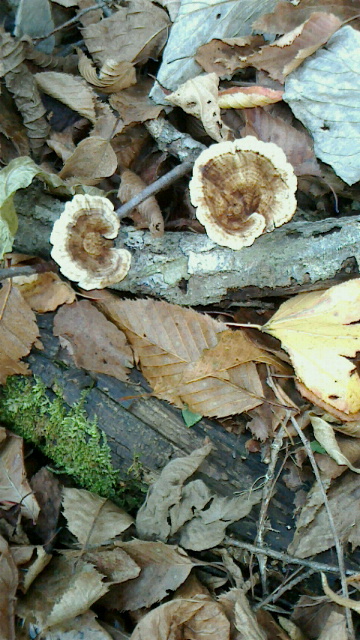 2014111516370000.jpg 2014111516370000.jpg