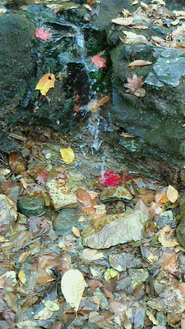 2014111516370000.jpg 2014111516370000.jpg