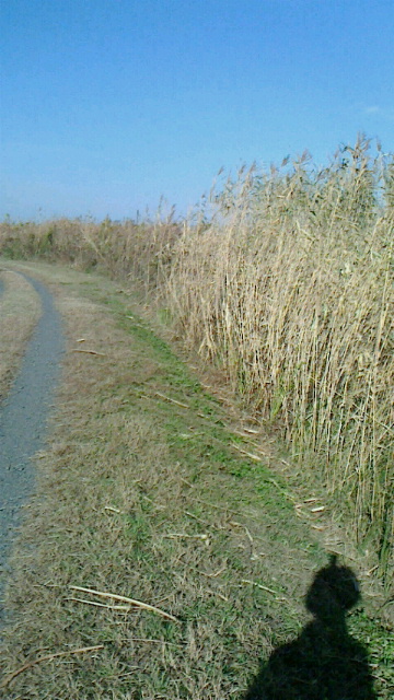 2014111616310000.jpg 2014111616310000.jpg